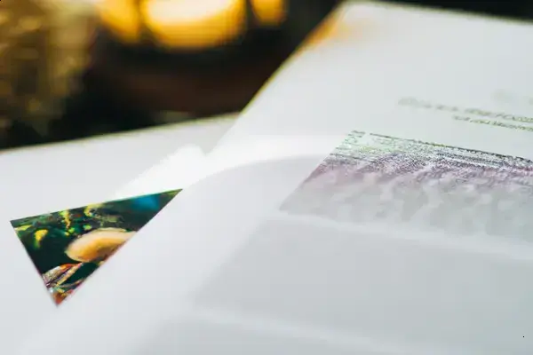 Many South Africans Over 60 Are Unsure If They Qualify for the Older Persons Grant in 2026