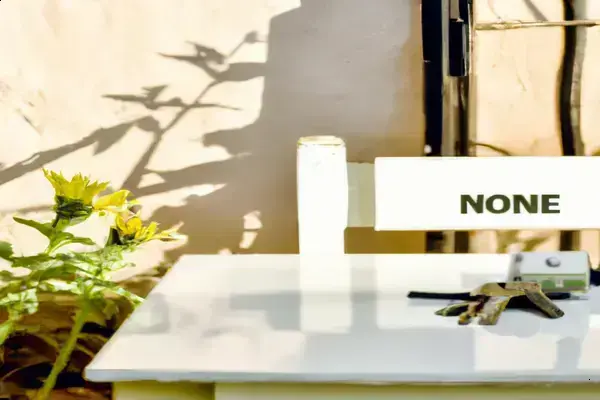 Provincial Housing Support: Extra Help Beyond the R261 Subsidy